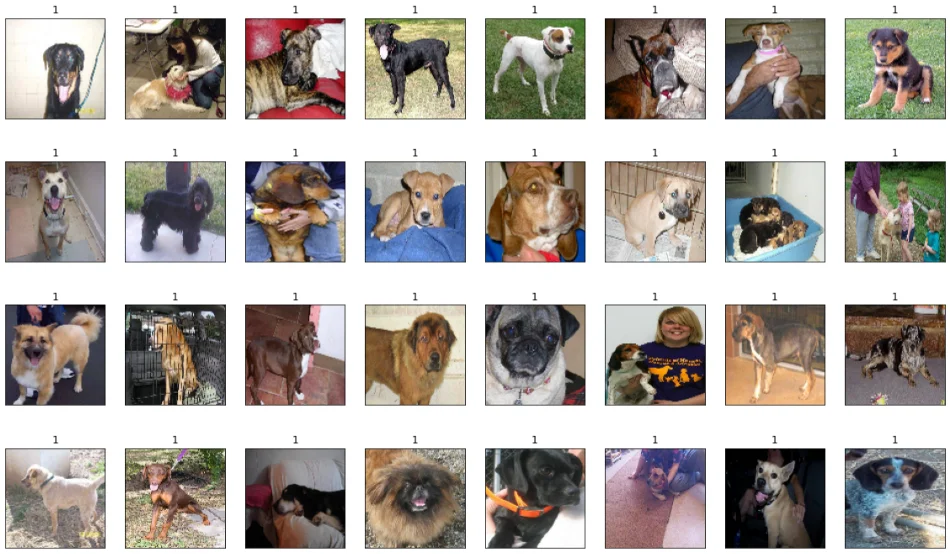 Cat vs Dog Image Classification